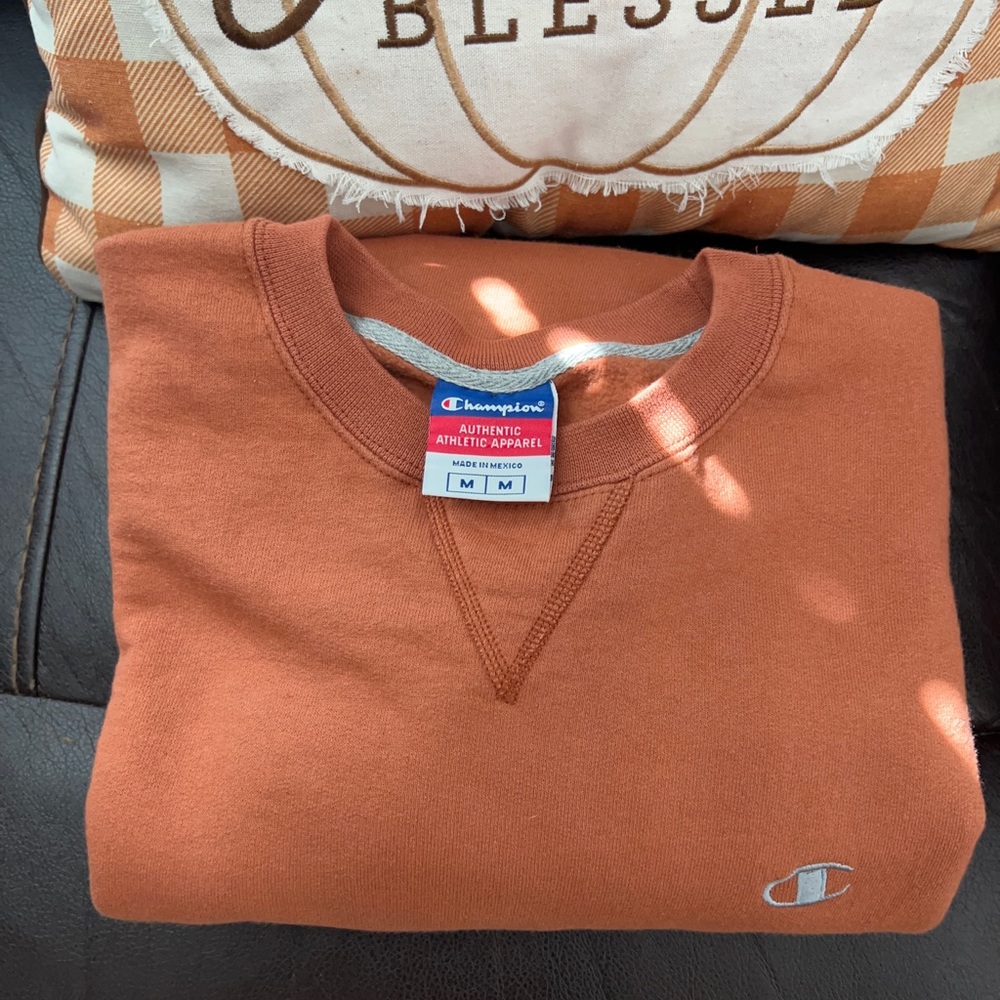 Brown Champion authentic pullover/sweater